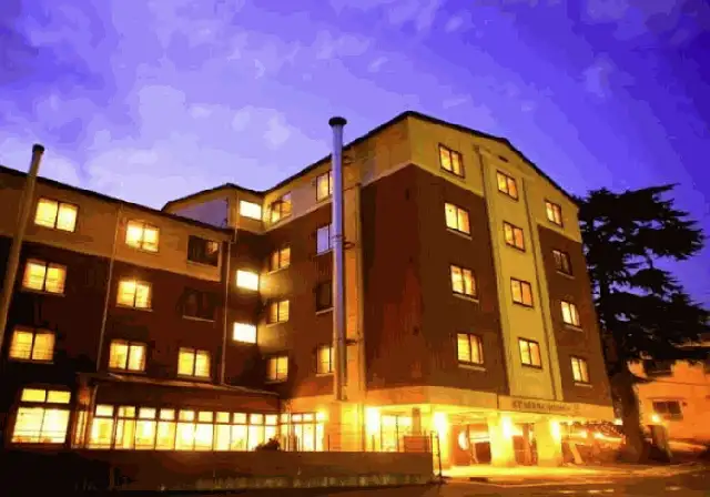 箱根強羅ﾎﾃﾙﾊﾟｲﾌﾟのけむりﾌﾟﾗｽ