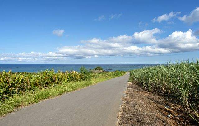 クラブメッド石垣島