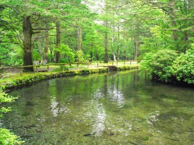 休暇村　日光湯元