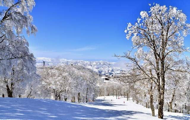 丸沼高原スキー場