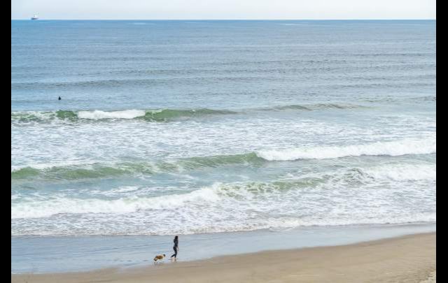 ﾄﾞｰﾐｰｲﾝEXPRESS仙台ｼｰｻｲﾄﾞ