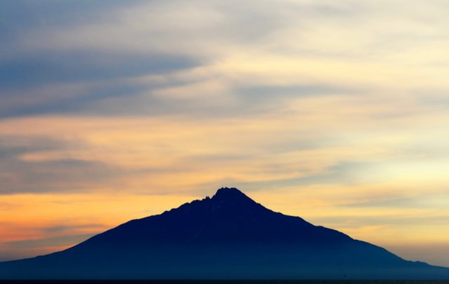 田中家　ひなげし館