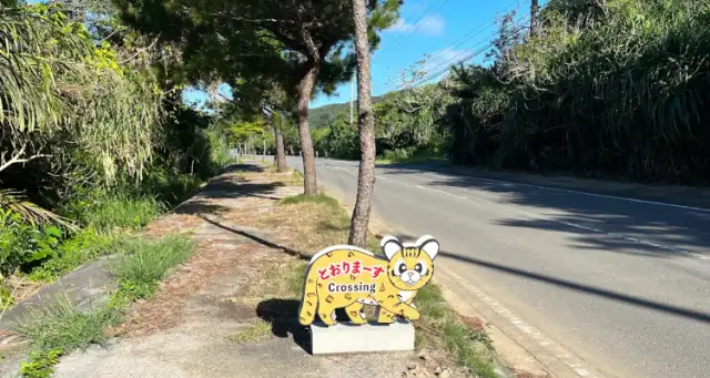 西表島交通株式会社