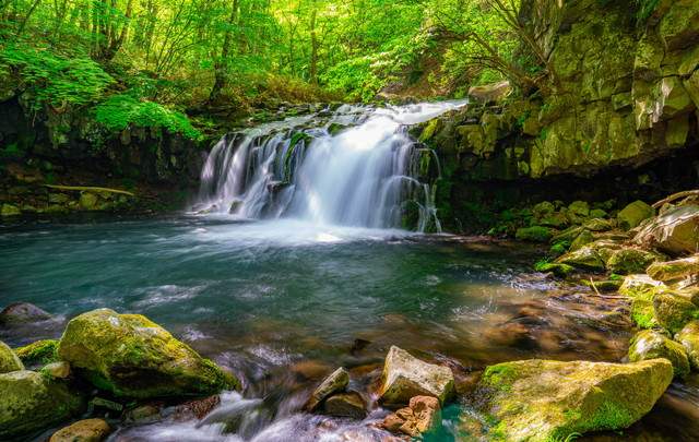 テラス蓼科リゾート＆スパ