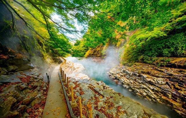 湯けむりの宿　稲住温泉