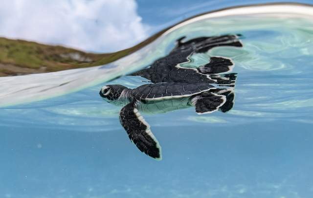 YYYクラブイエリゾート