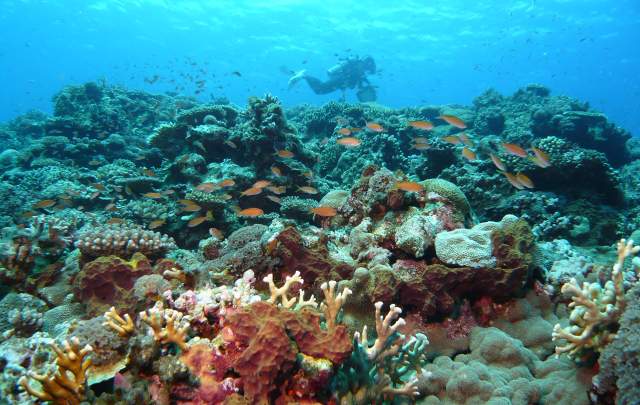 YYYクラブイエリゾート