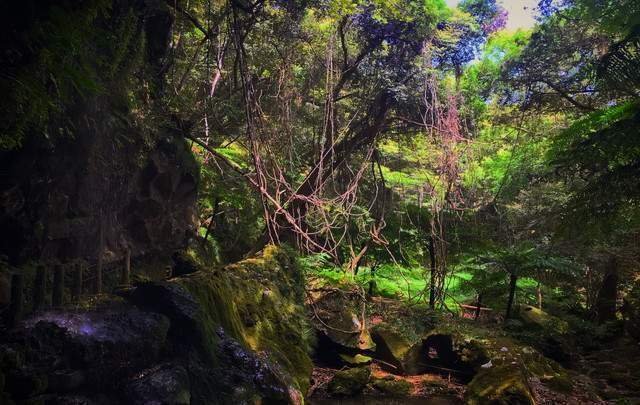 リードパークリゾート八丈島