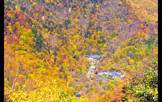 白船グランドホテル