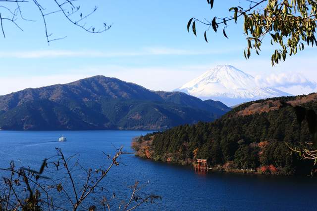 ウィスタリアンライフクラブヴェルデの森