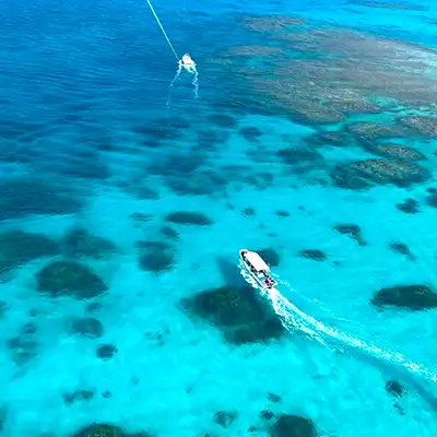 ブルーシーサー合同会社