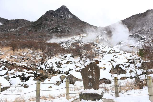 ウィスタリアンライフクラブヴェルデの森