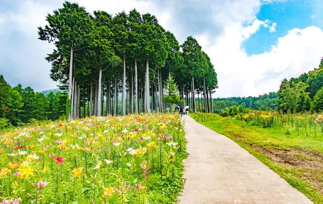 塩の湯温泉　蓮月