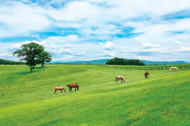 ホテル森の風那須