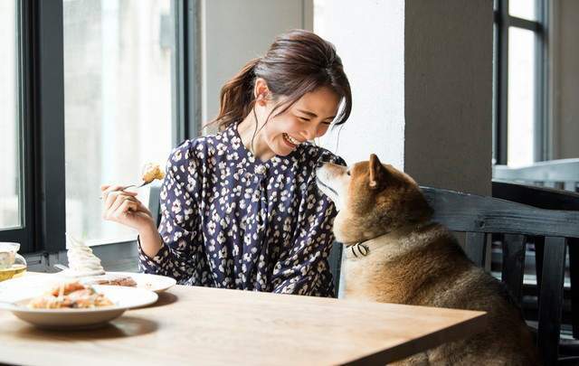 ゆとりろ蓼科ホテルwithDOGS