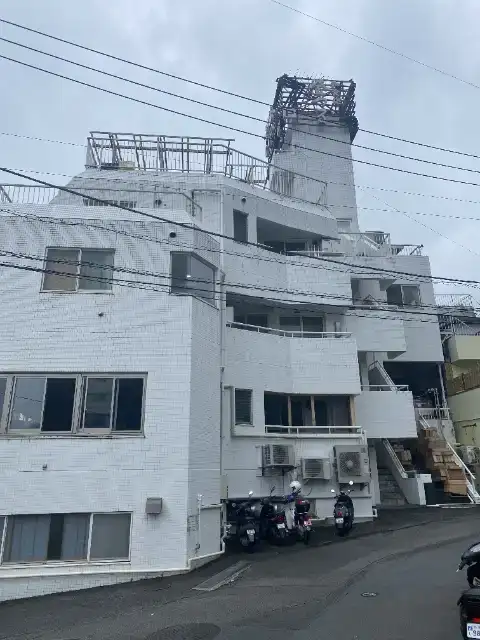 みかんの木の寮画像