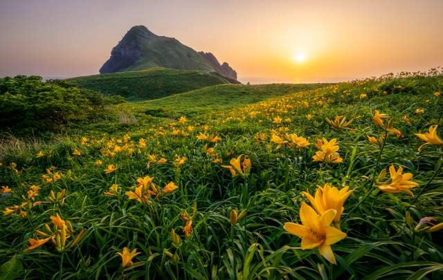 国際佐渡観光ホテル　八幡館