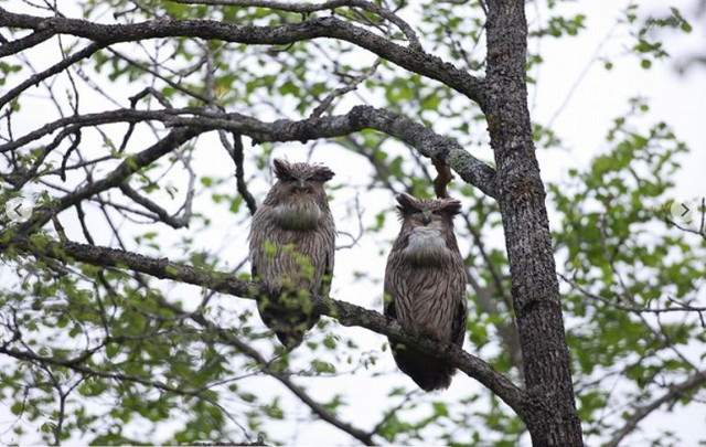 芽登温泉ホテル