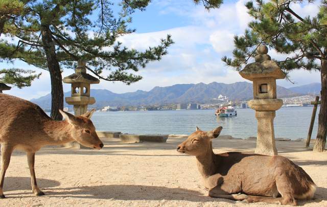宮島シーサイドホテル