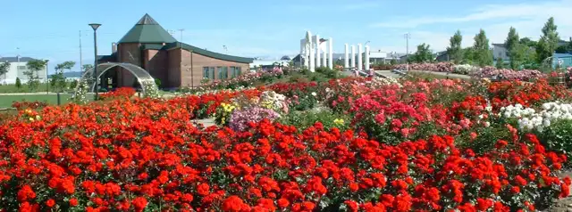 はぼろ温泉サンセットプラザ