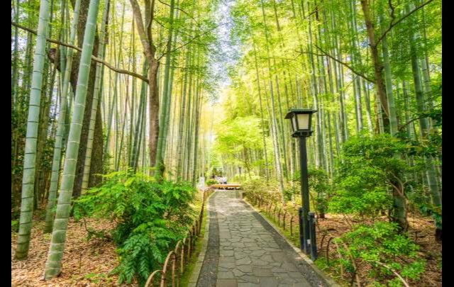 宙　SORA　渡月荘金龍