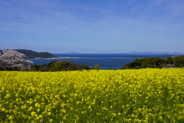 レストランひらまつ博多