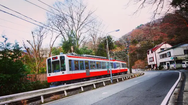ポーラ美術館 レストラン アレイ
