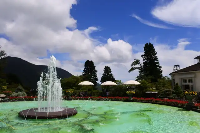 ポーラ美術館 レストラン アレイ