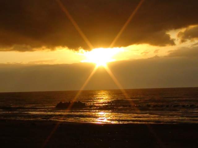 游水亭 いさごや