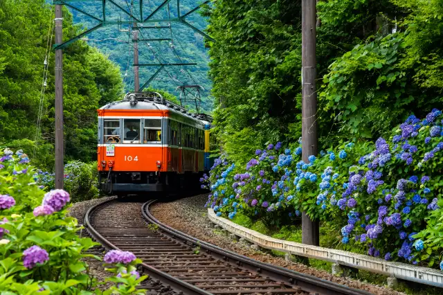 トピー健康保険組合 強羅荘