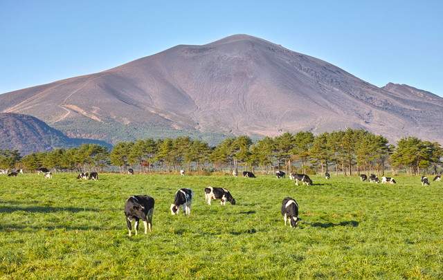 おもちゃ王国・ｸﾞﾘｰﾝﾌﾟﾗｻﾞ軽井沢
