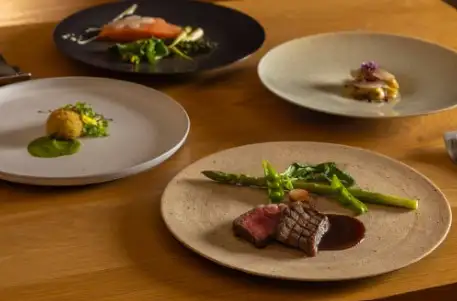 スイデンテラス