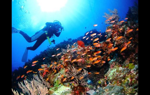 南西楽園リゾート従業員食堂