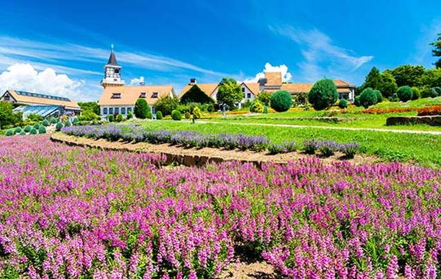 AMBIENT八ヶ岳コテージ