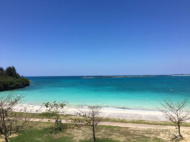 アイランドテラスニーラ