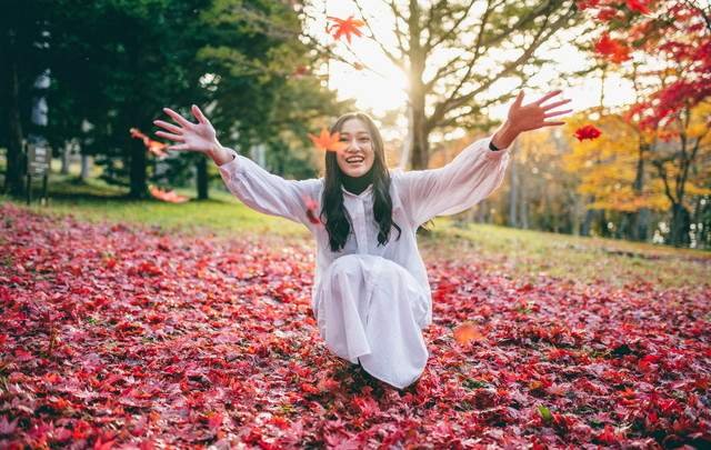 湯けむりの宿　稲住温泉