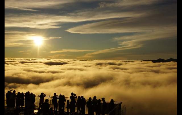 カネマル後藤商店