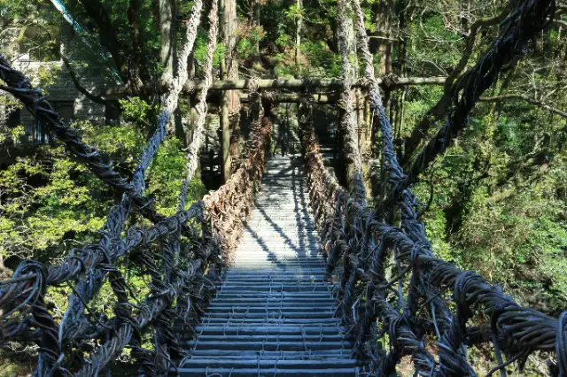 峡谷の湯宿 大歩危峡まんなか