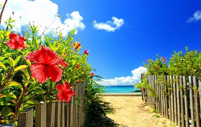 クラブメッド石垣島