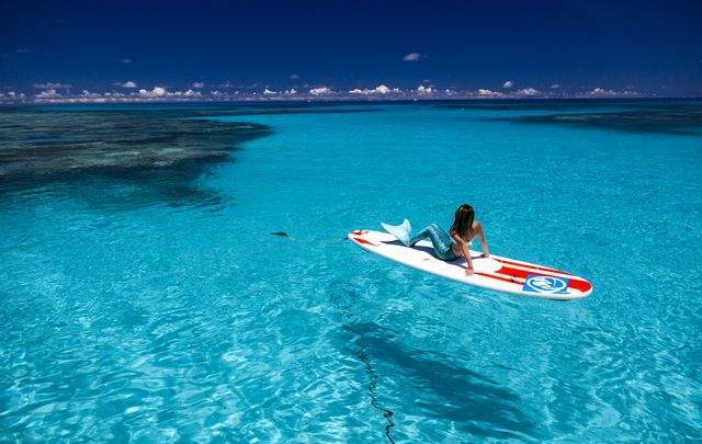 南国酒場　来留来琉〜KURUKURU〜