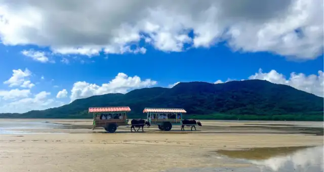 西表島交通株式会社