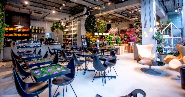 Nicolai Bergmann NOMU aoyama