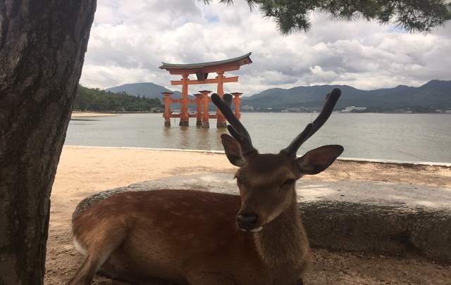 聚景荘（じゅけいそう）