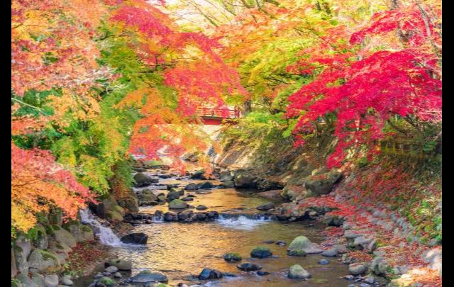 宙　SORA　渡月荘金龍