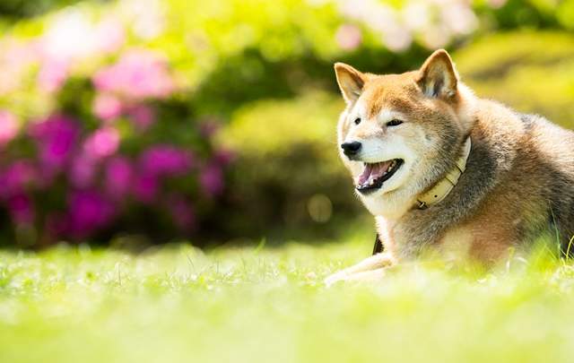 ホテル四季の蔵