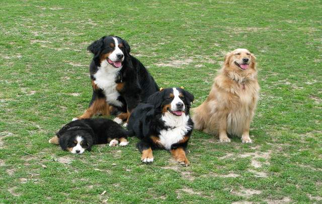 ホテルそよかぜ