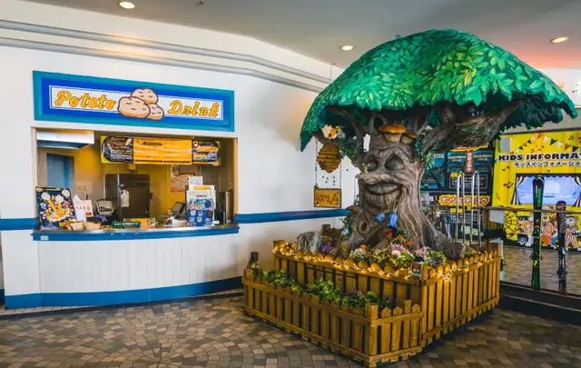 館内イメージ🌳