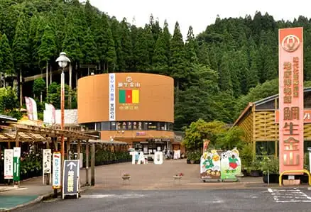 カッフェルひなのさと