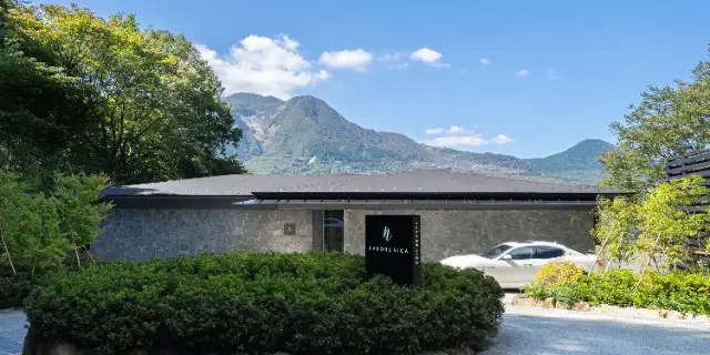 HAKONE NICA