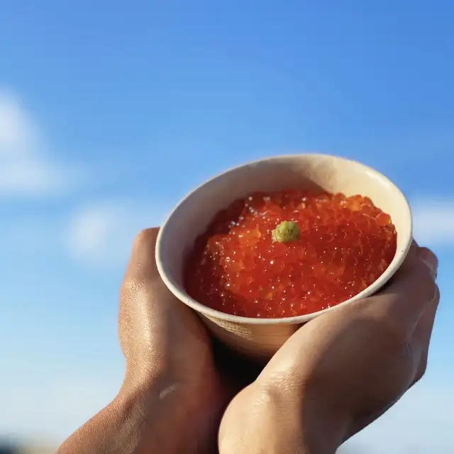 圓子水産